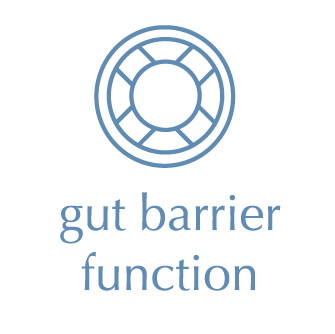 Gut Barrier Function