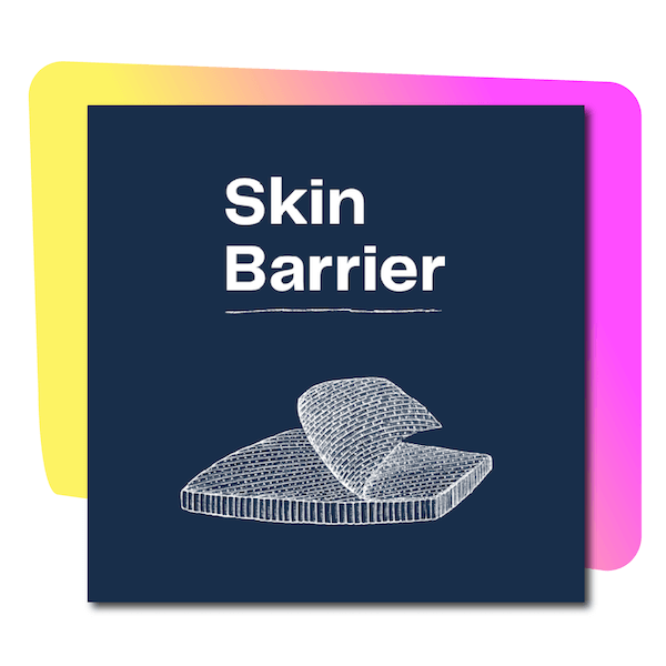 The Skin Barrier: Your Body’s First Line of Defense