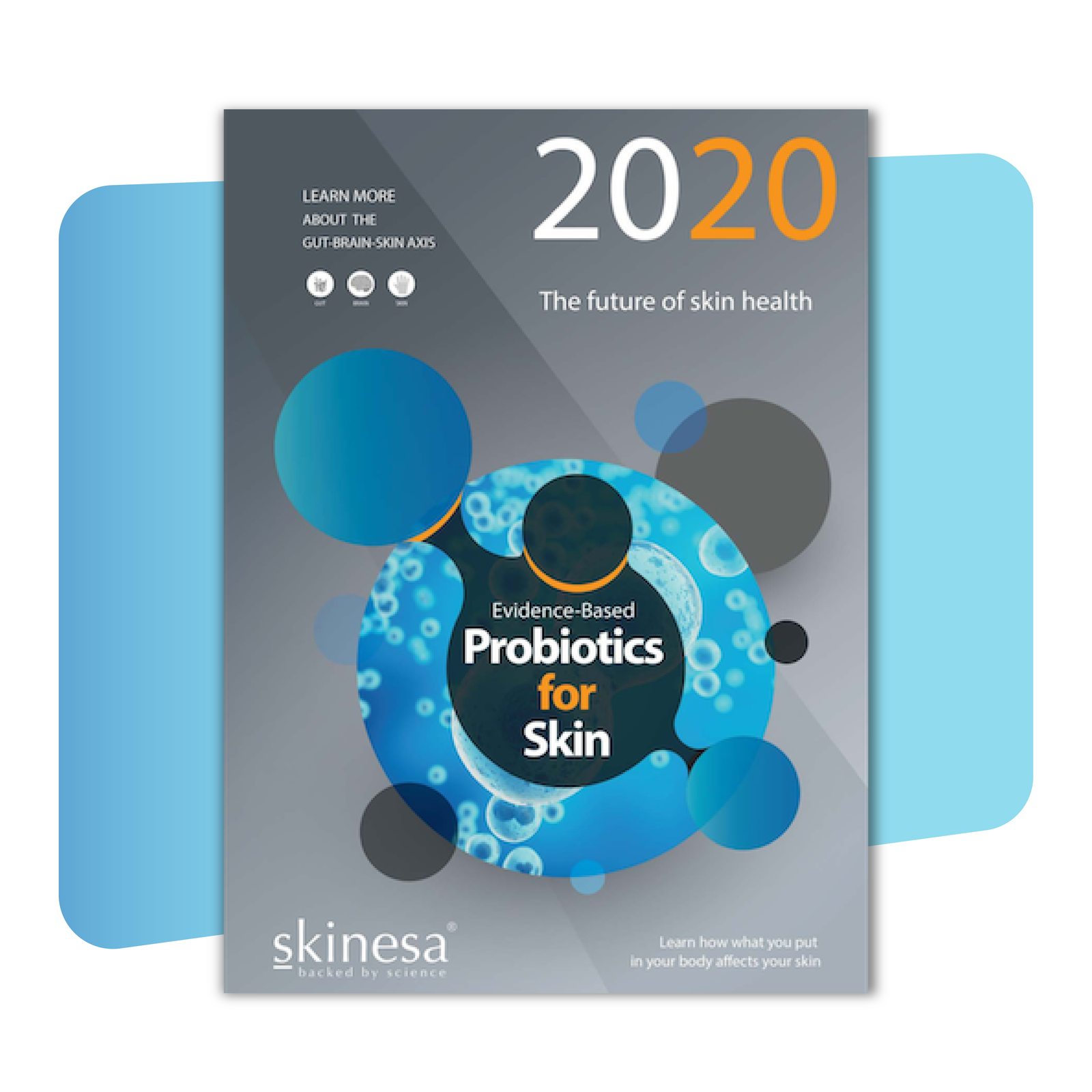 Skinesa eBook 2020 | Skinesa